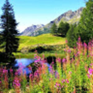 Meet your Posher, Kiersten